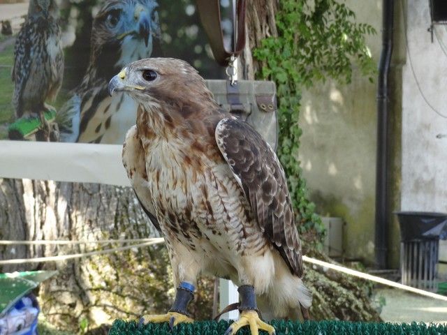 fete ane 2018 (37).JPG